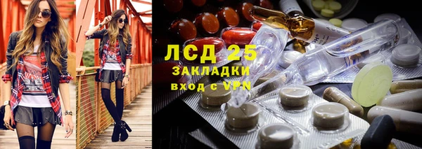 PSILOCYBIN Балахна