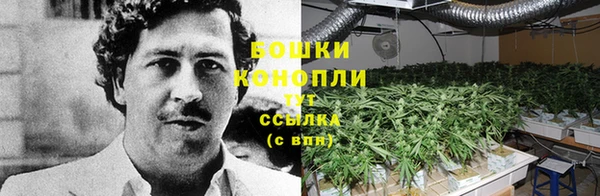 дурь Нефтегорск