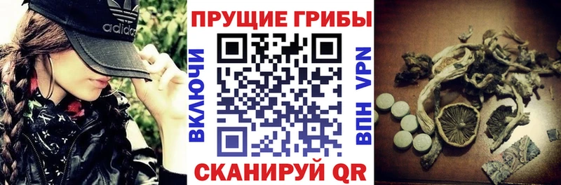 Галлюциногенные грибы MAGIC MUSHROOMS купить наркотики сайты Черняховск